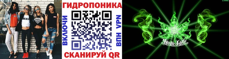 Купить где  Дубна  Шишки марихуана сатива 